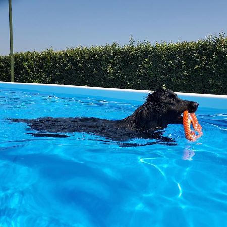 Agriturismo Delizia D'Este Francolino Εξωτερικό φωτογραφία