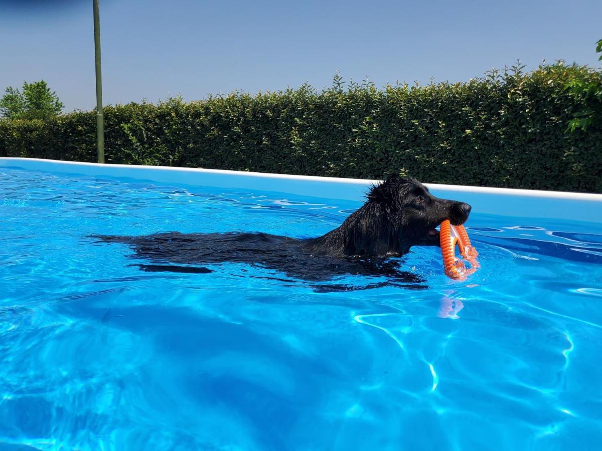 Agriturismo Delizia D'Este Francolino Εξωτερικό φωτογραφία