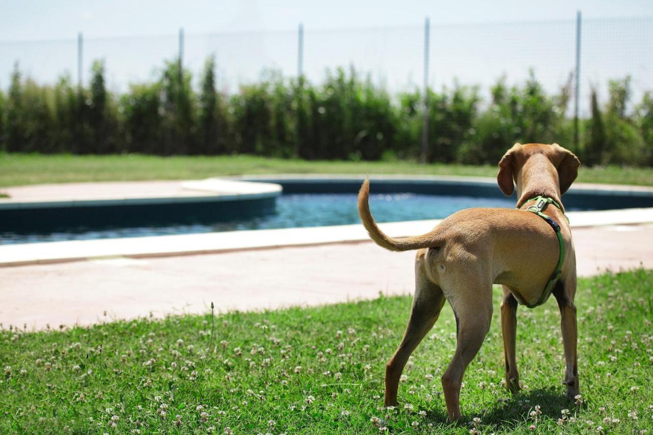 Agriturismo Delizia D'Este Francolino Εξωτερικό φωτογραφία